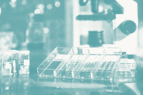 a photo of slides from an immunohistochemistry test, which is used to determine breast cancer hormone status